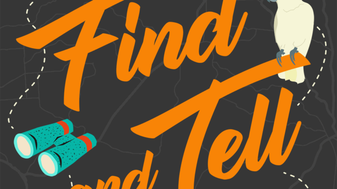 Find-Tell-Podcast-Art.png